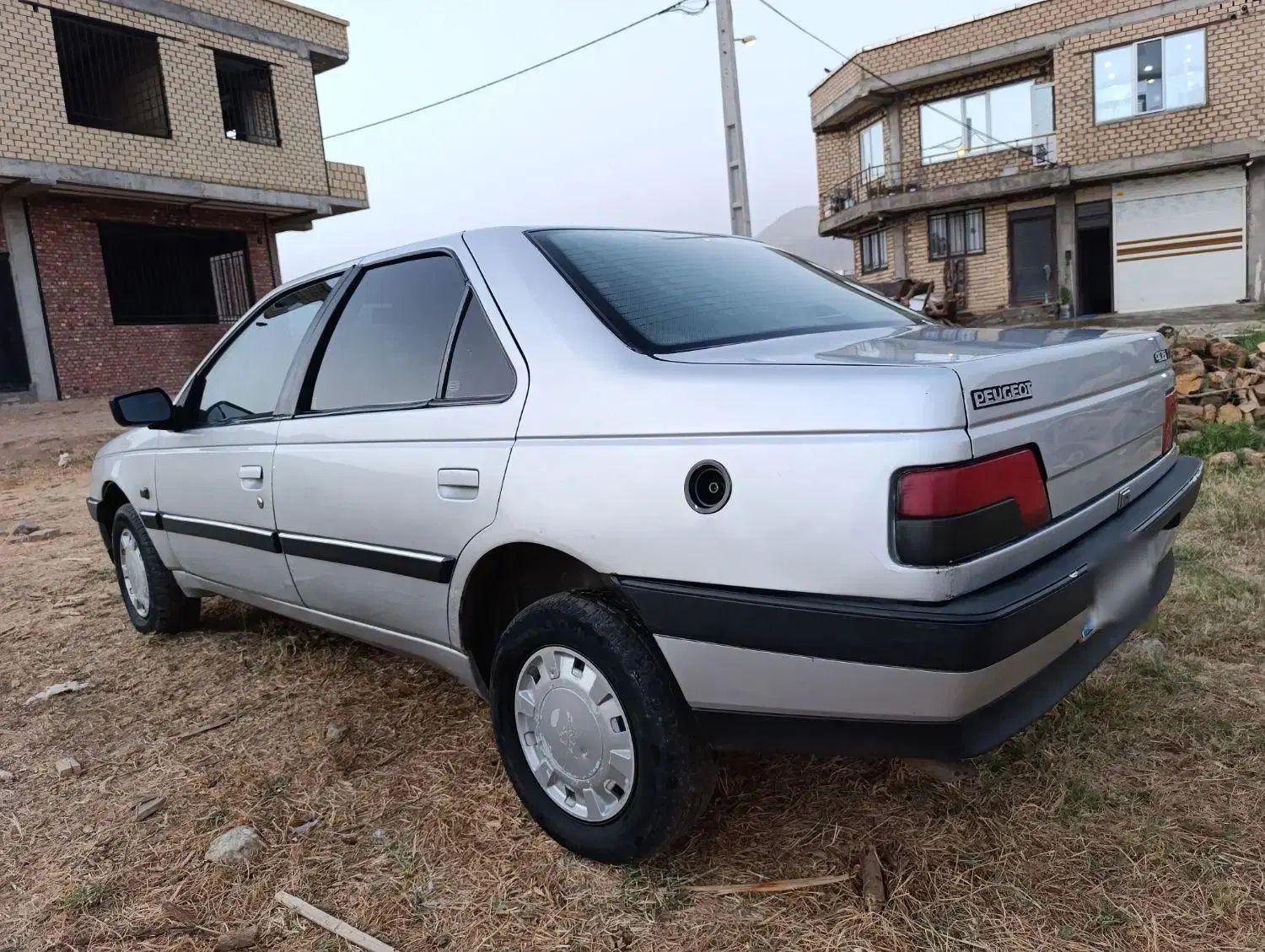 پژو 405 GLX - دوگانه سوز - 1391