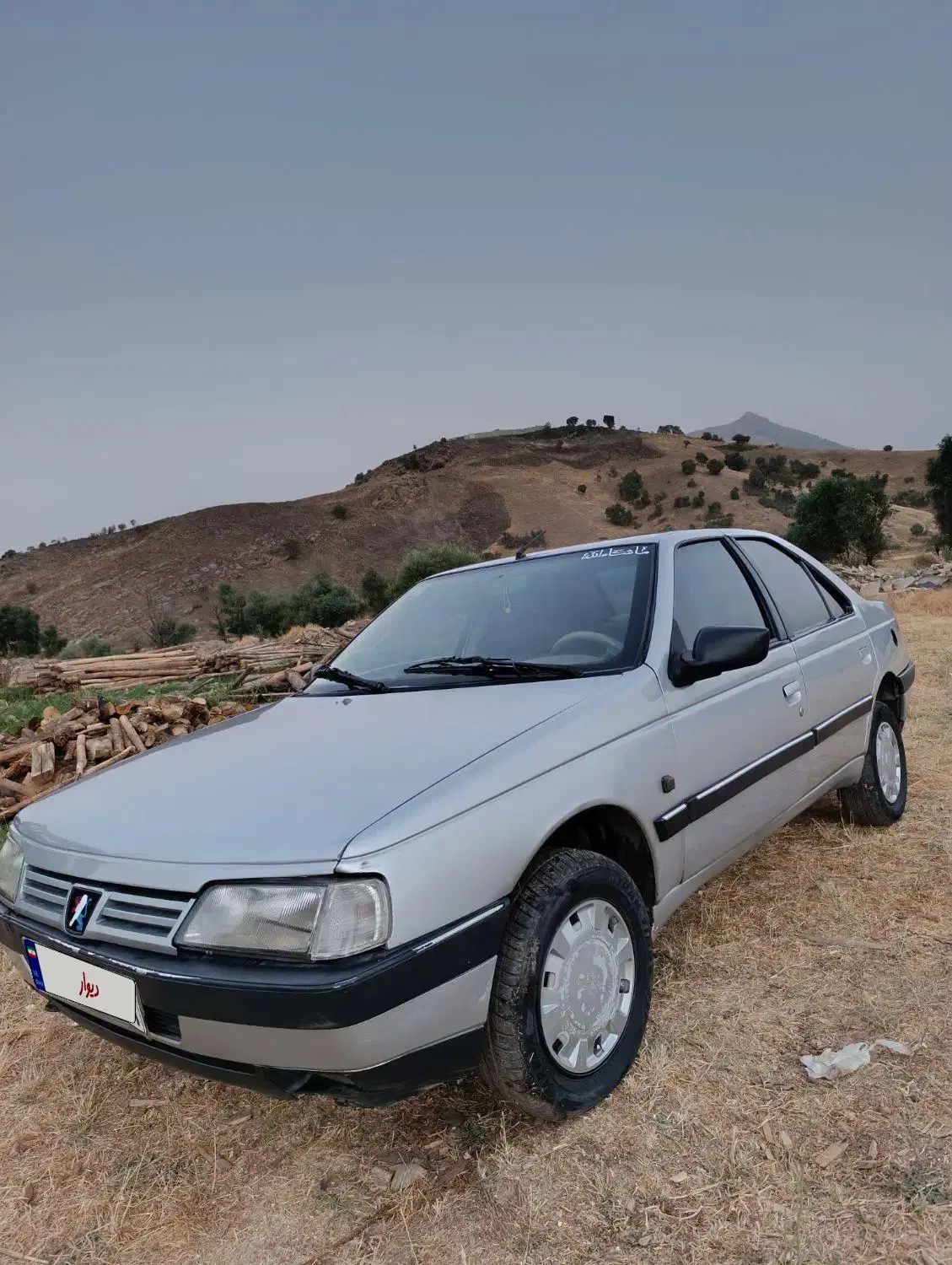 پژو 405 GLX - دوگانه سوز - 1391