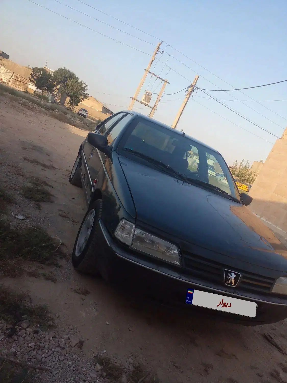 پژو آردی دوگانه سوز CNG - 1384