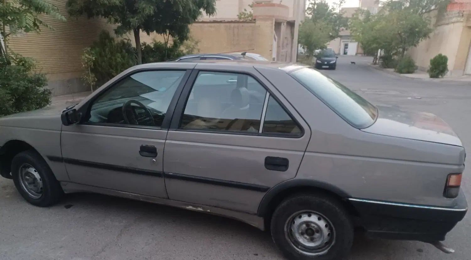 پژو آردی دوگانه سوز CNG - 1379