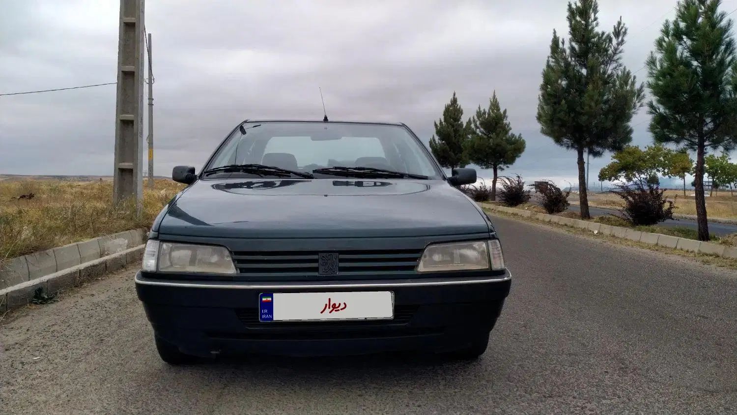 پژو آردی دوگانه سوز CNG - 1385