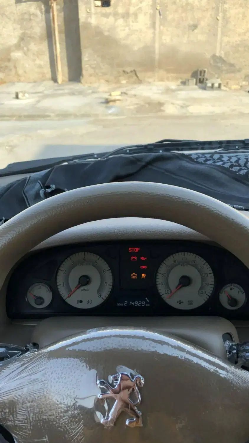 پژو 405 SLX بنزینی TU5 - 1391