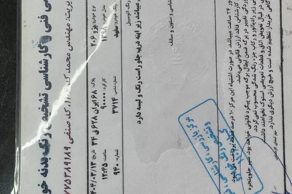 پژو 206 تیپ 2 - 1398