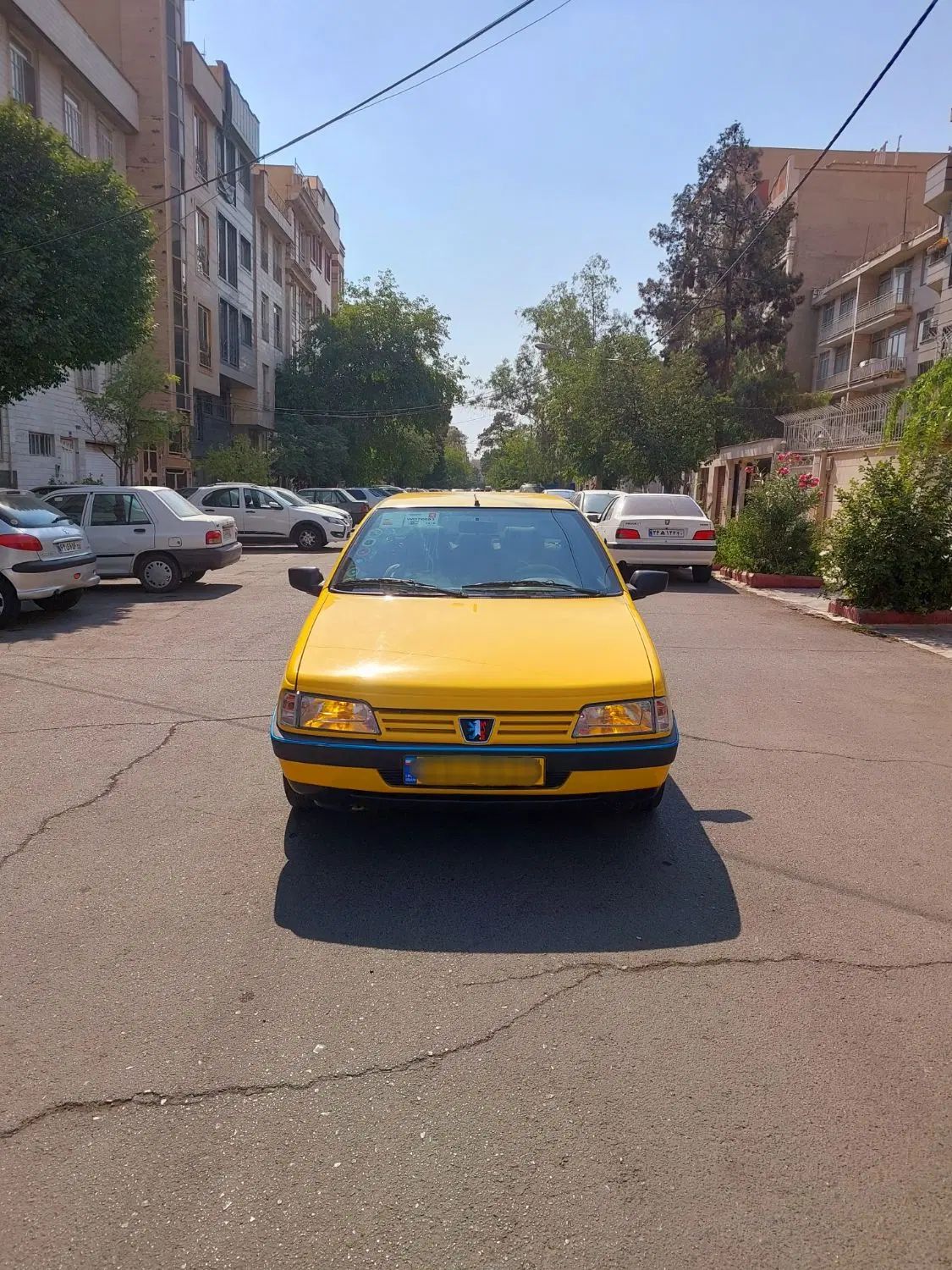 پژو 405 GLX - دوگانه سوز - 1395