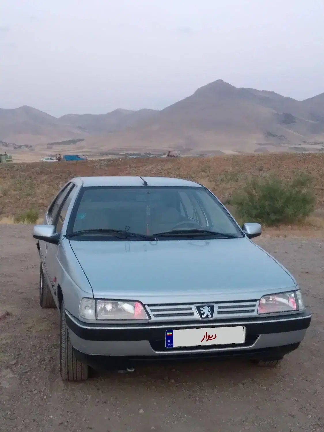 پژو 405 GLX - 1389