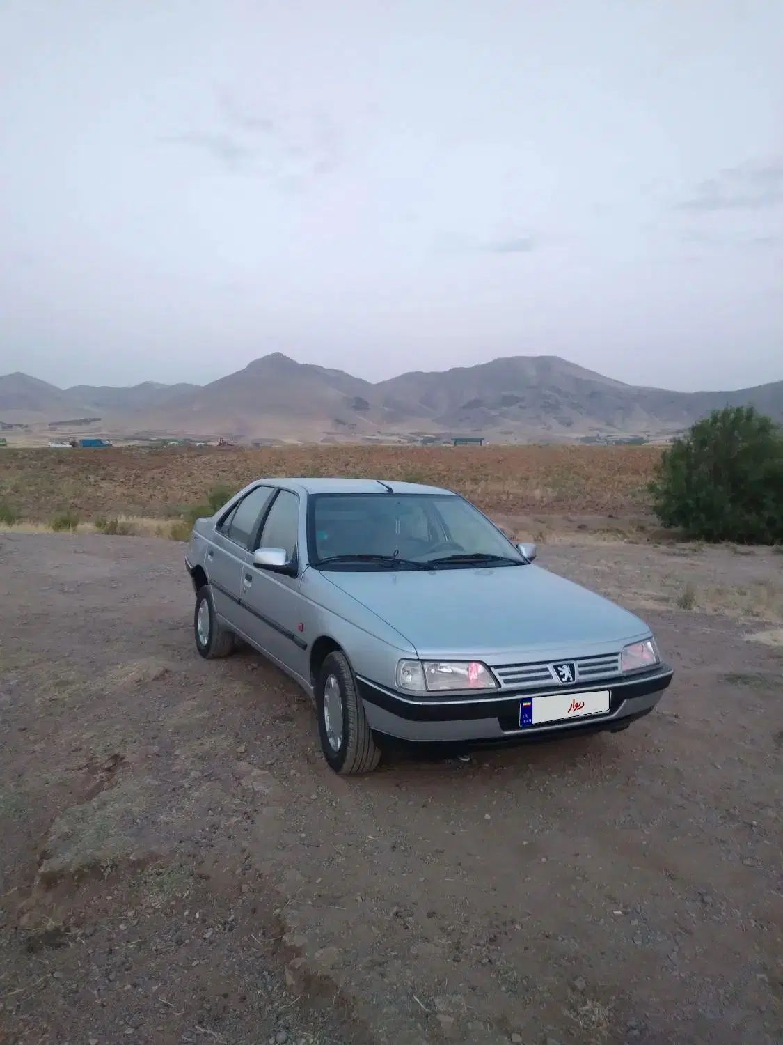 پژو 405 GLX - 1389
