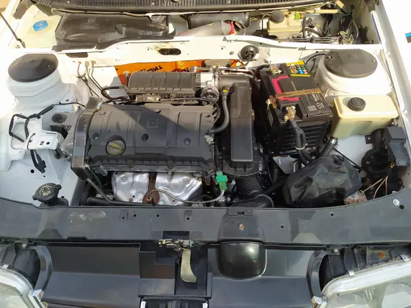 پژو 405 SLX بنزینی TU5 - 1392