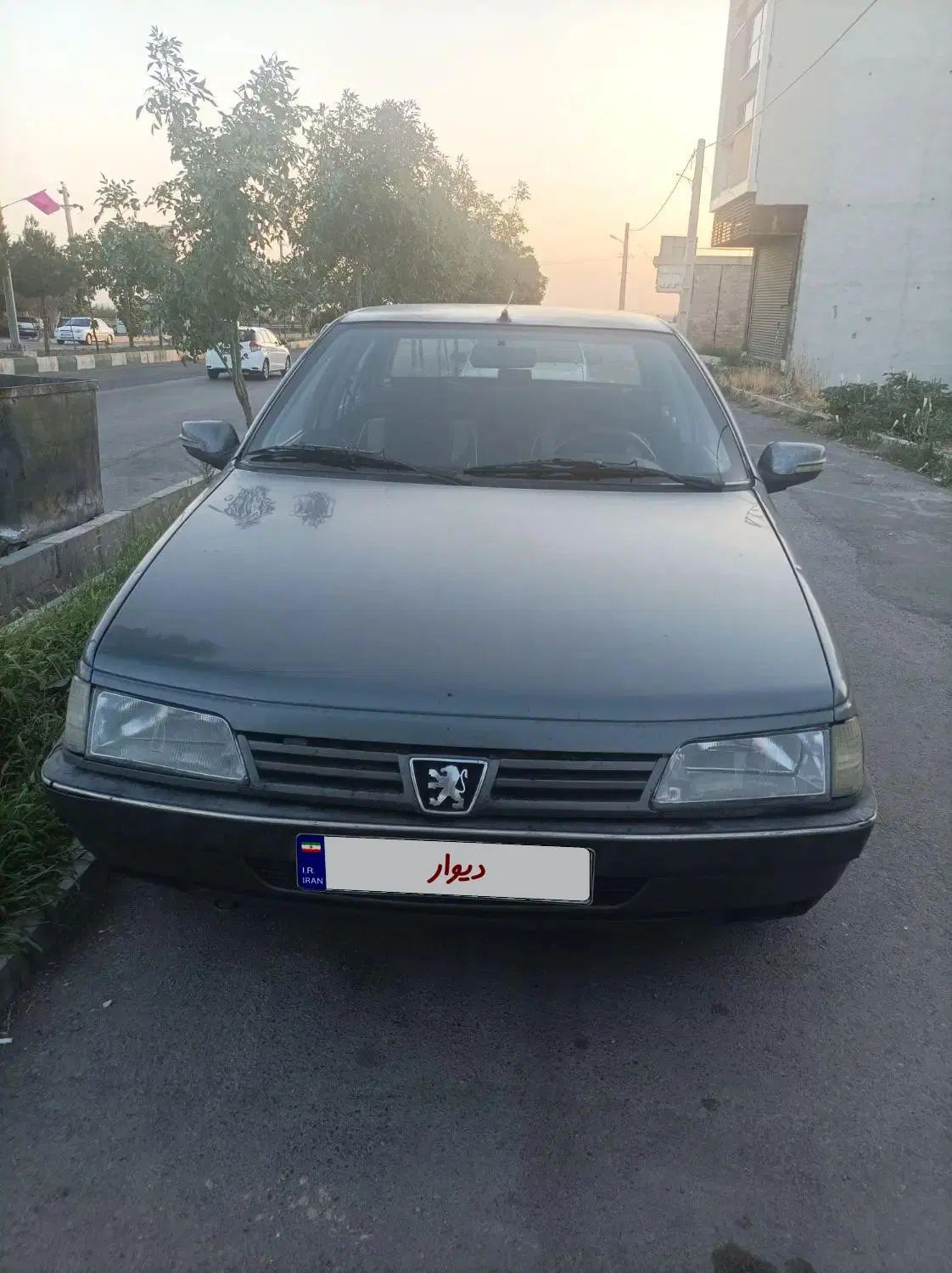 خودرو پژو، 405 آگهی ann_20224270