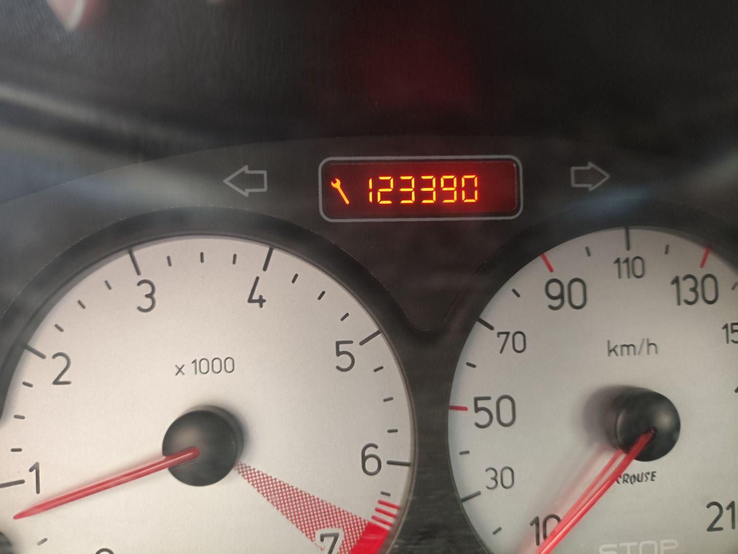 پژو 206 تیپ 2 - 1395