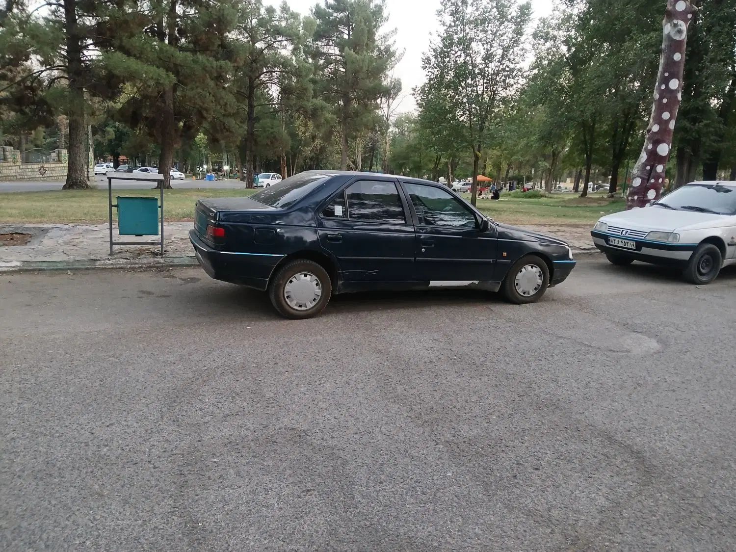 پژو 405 GL - 1366