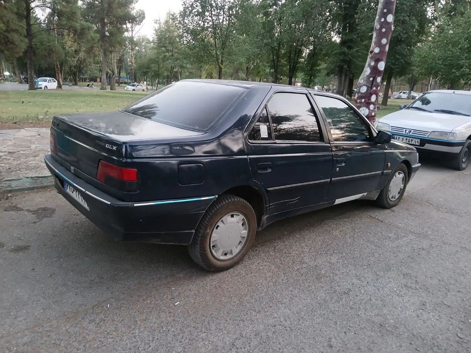 پژو 405 GL - 1366