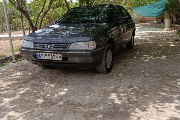 پژو 405 GLX - دوگانه سوز - 1393