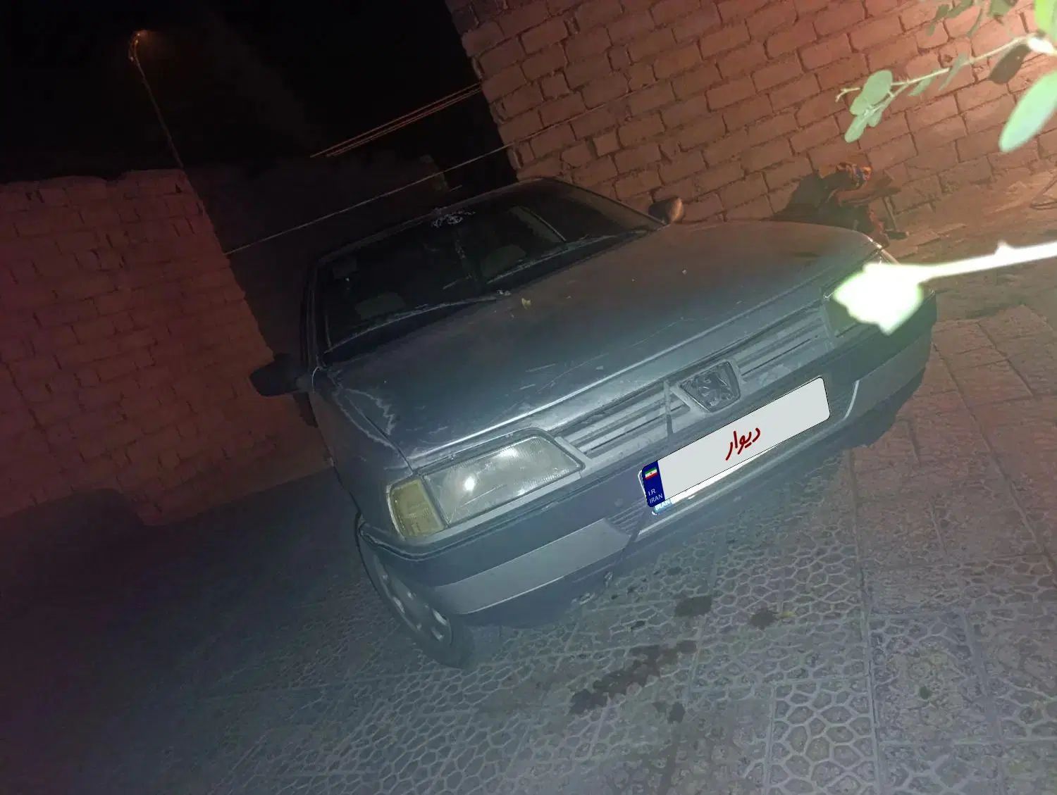 پژو 405 GLX - دوگانه سوز - 1391