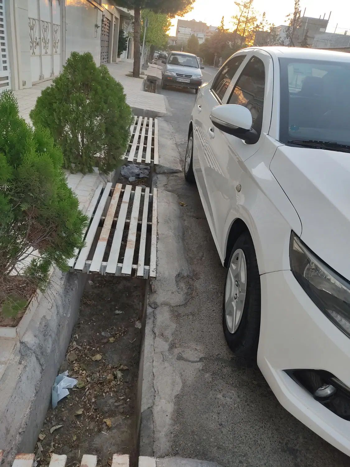 تارا دنده‌ای v1 - 1400
