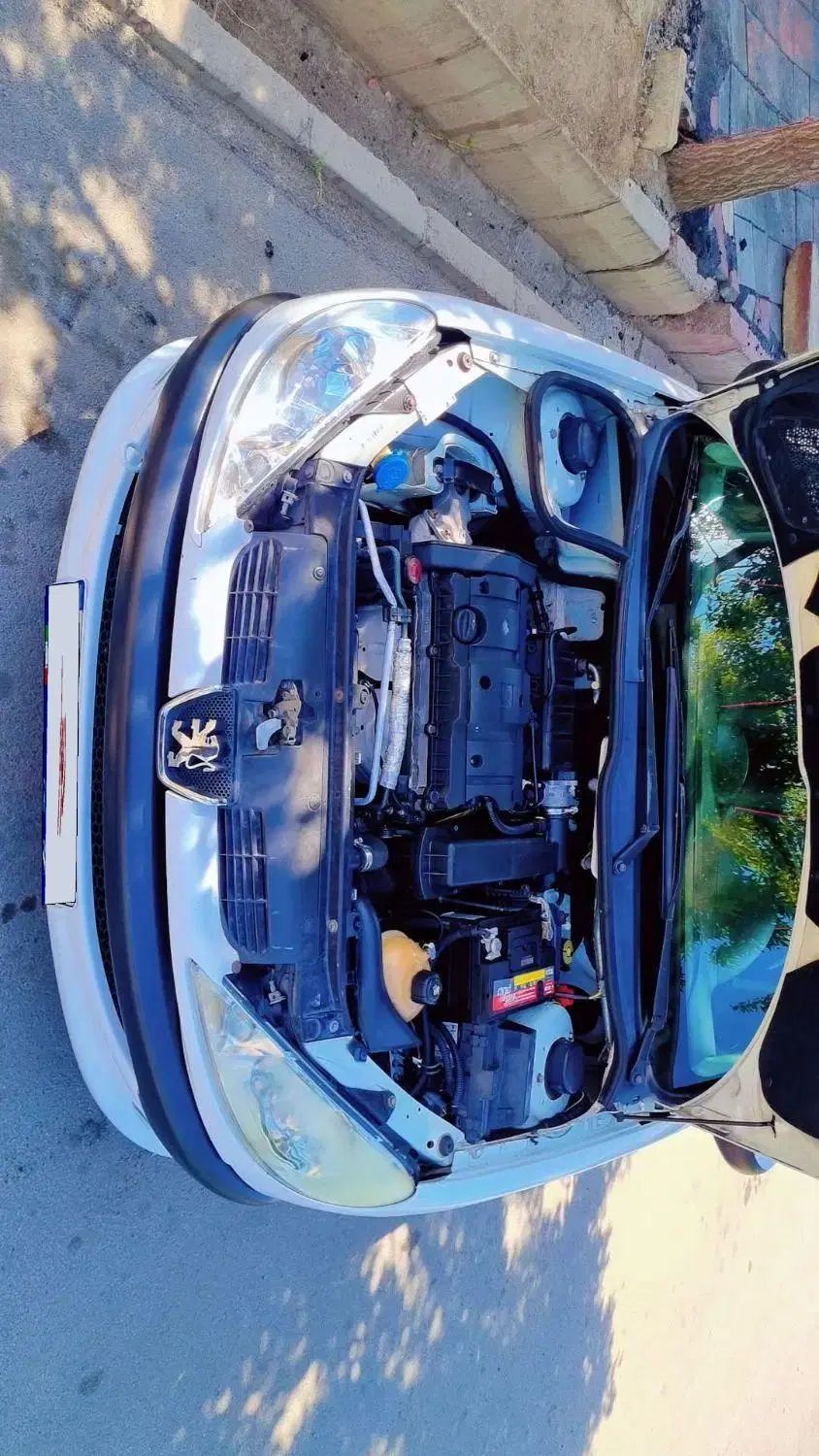 پژو ۲۰۶ صندوق دار v8 - 1393