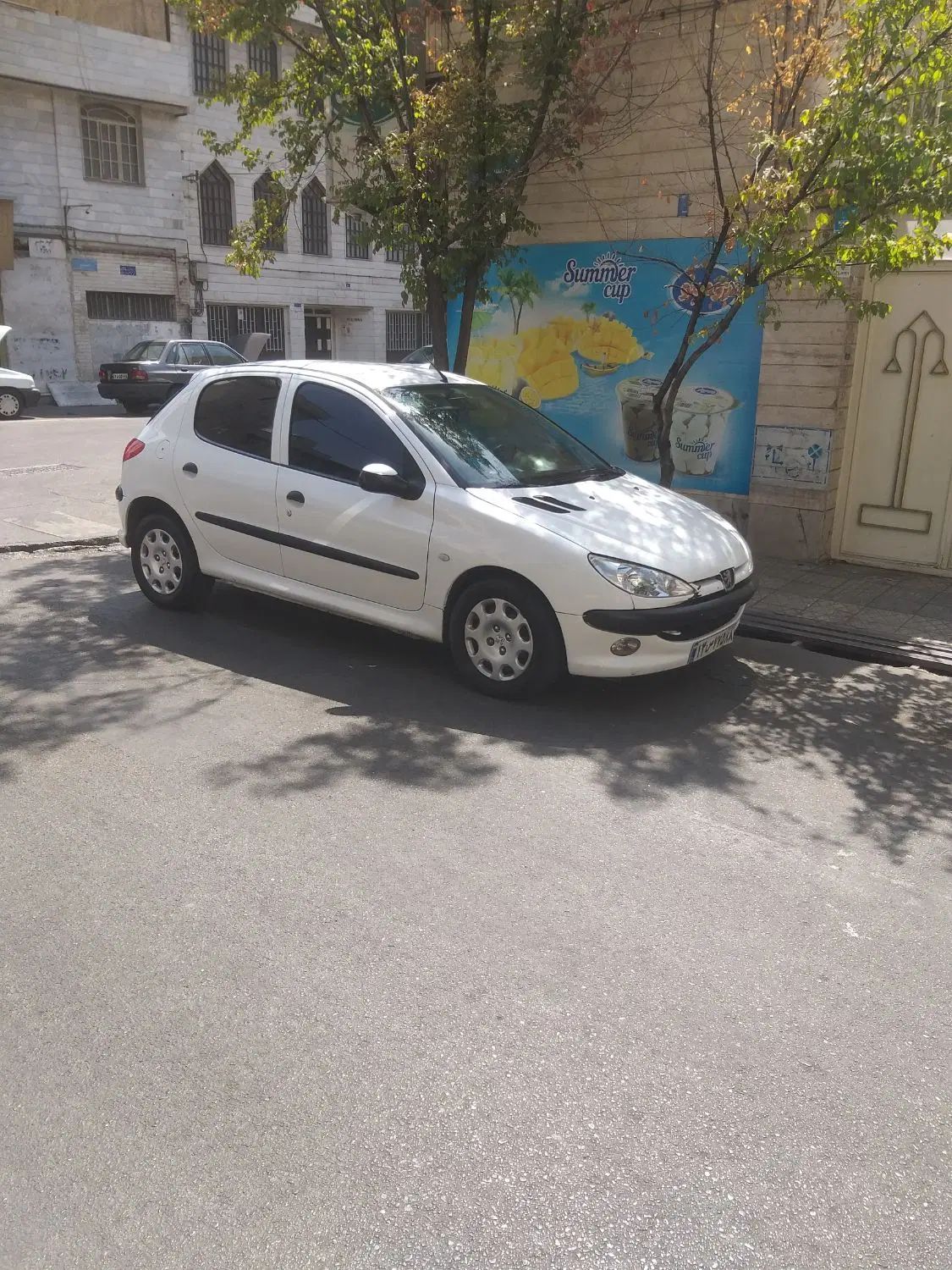 پژو 206 تیپ 2 - 1391