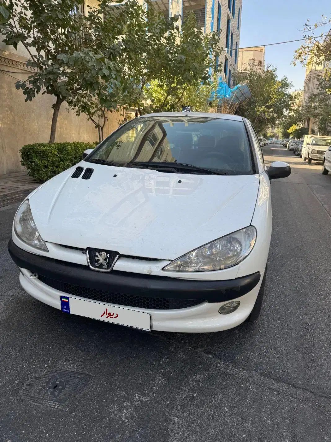 پژو 206 تیپ 5 - 1399