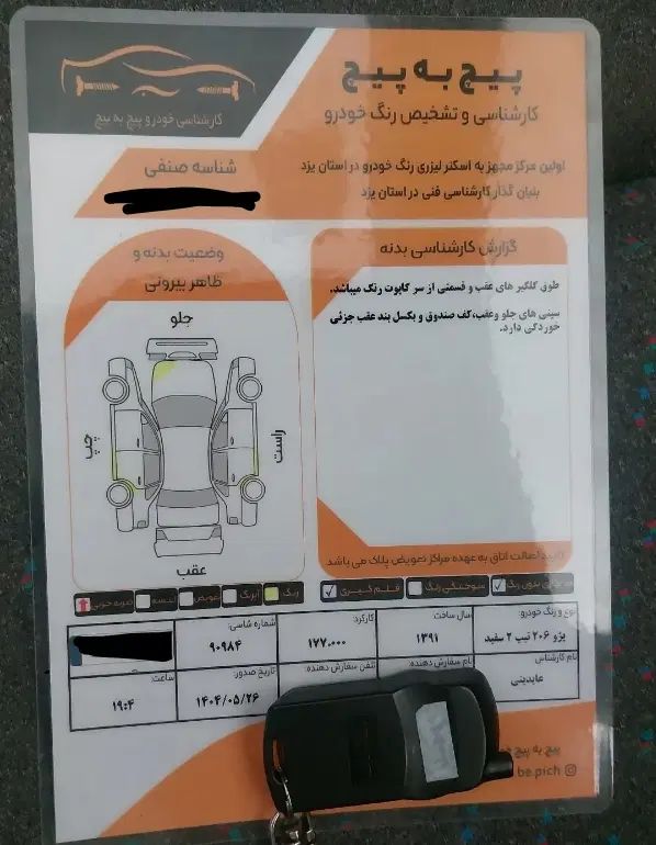 پژو 206 تیپ 2 - 1391