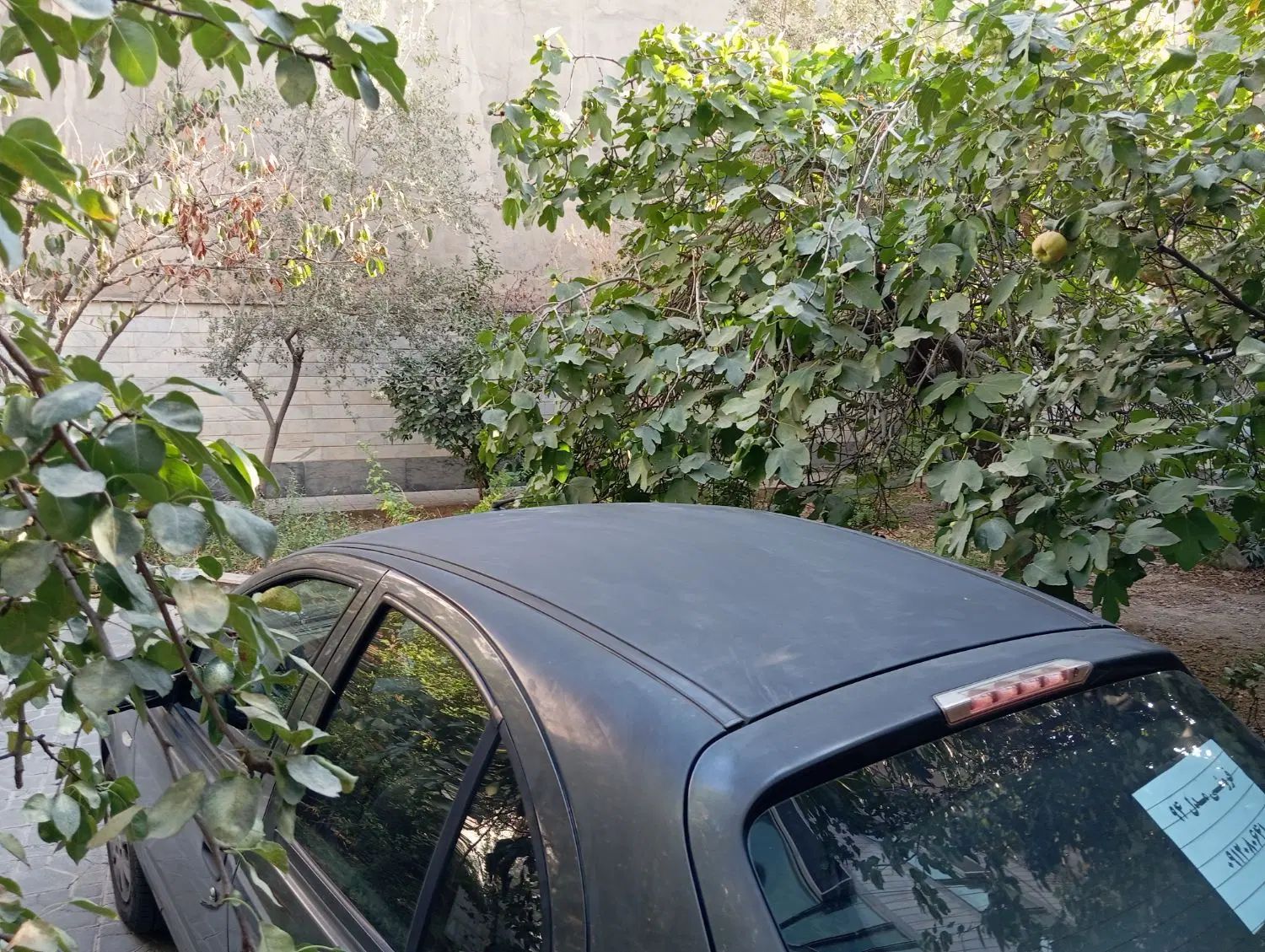 تیبا 2 SX - 1394