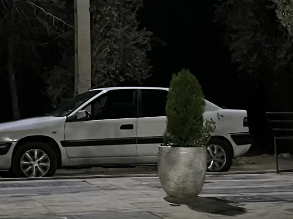 سیتروئن زانتیا X - 1387
