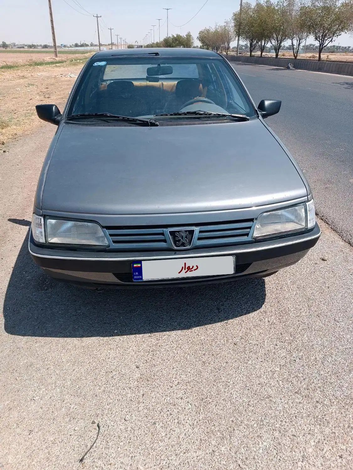 پژو 405 GLX - دوگانه سوز - 1394