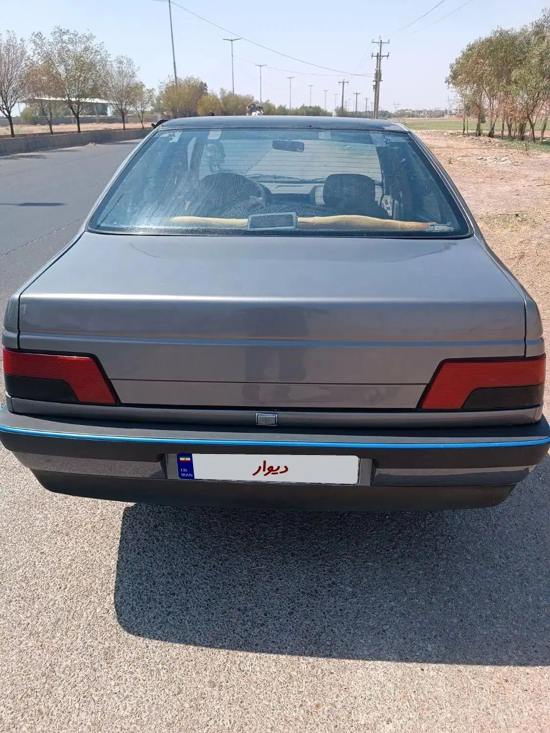 پژو 405 GLX - دوگانه سوز - 1394