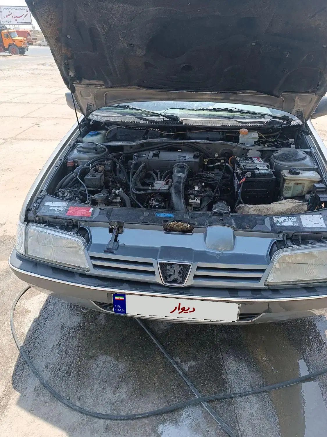 پژو 405 GLX - دوگانه سوز - 1394