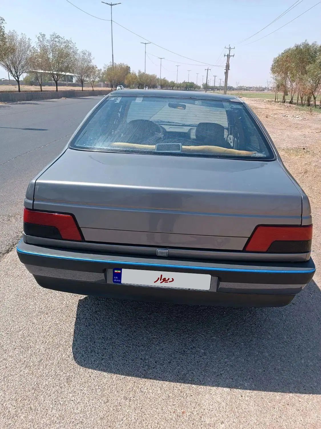 پژو 405 GLX - دوگانه سوز - 1394