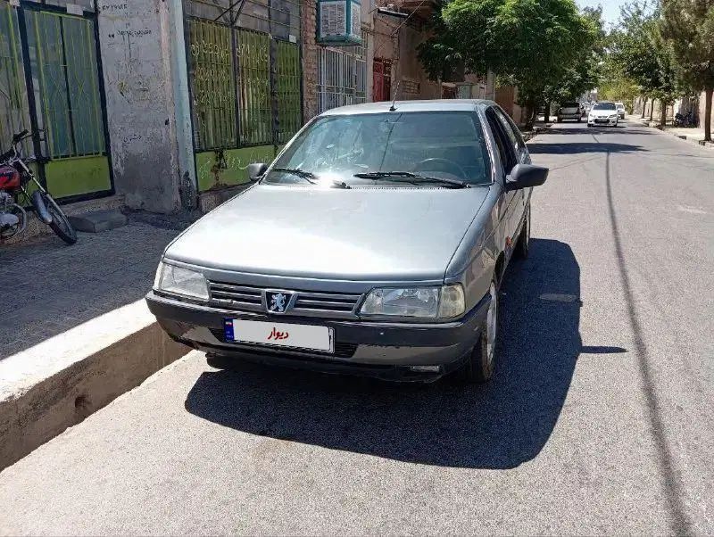 پژو 405 GL - دوگانه سوز CNG - 1379