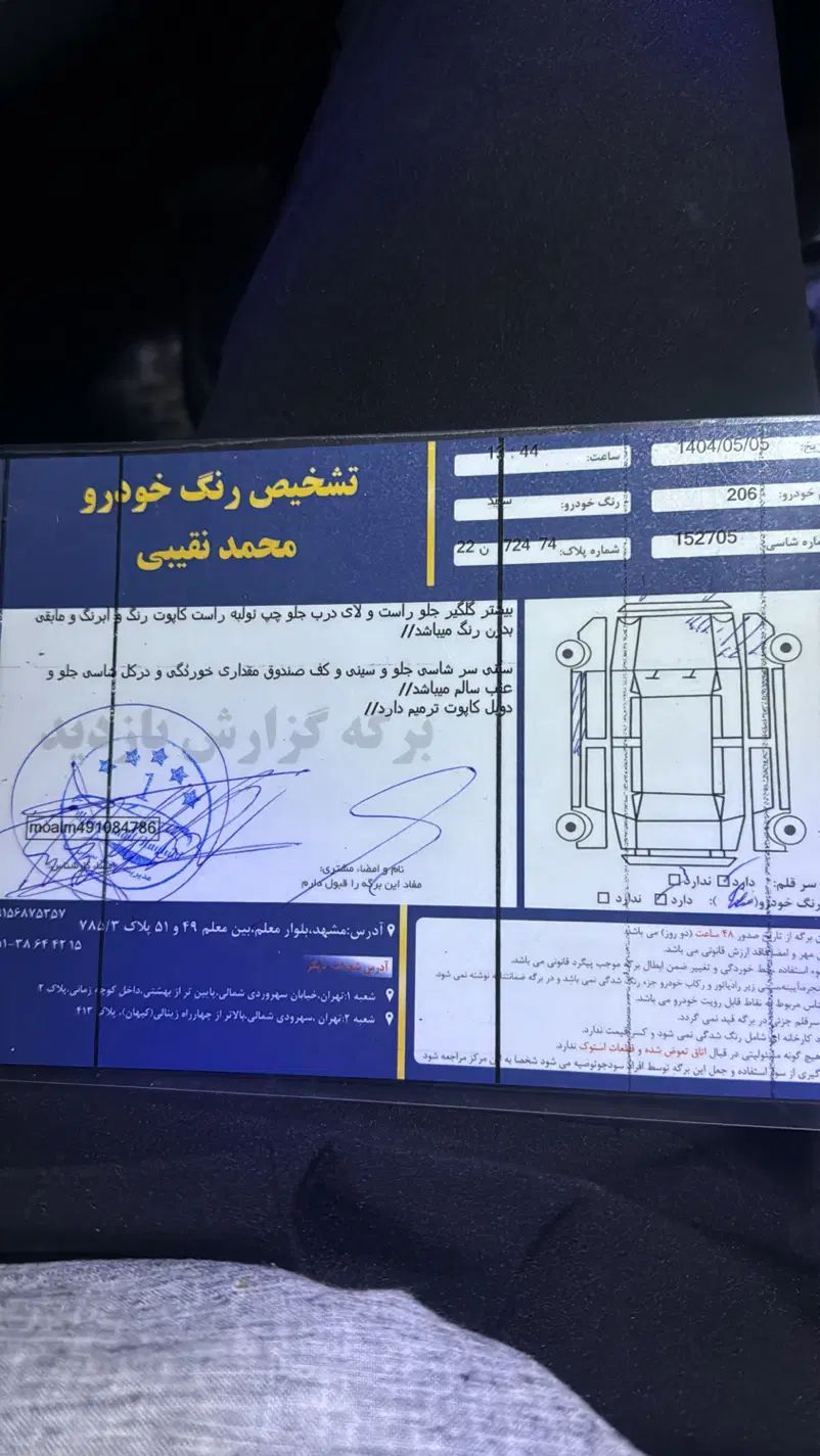 پژو 206 تیپ 2 - 1398