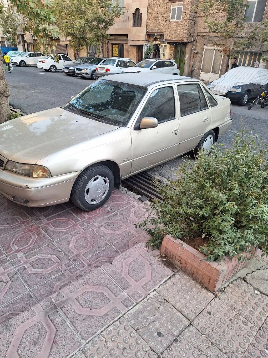 دوو سیلو سدان - 1381