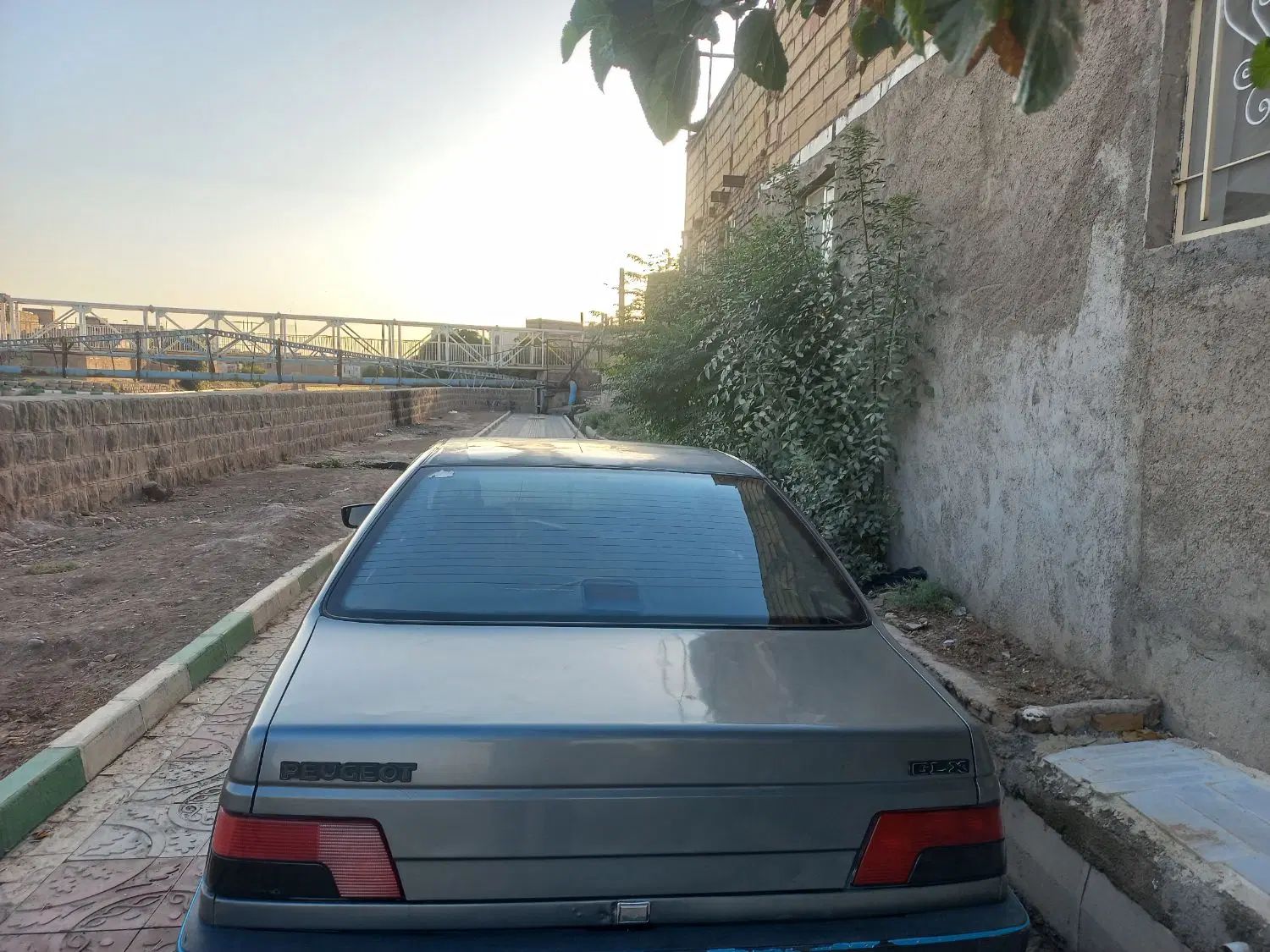 خودرو پژو، 405 آگهی ann_20234055