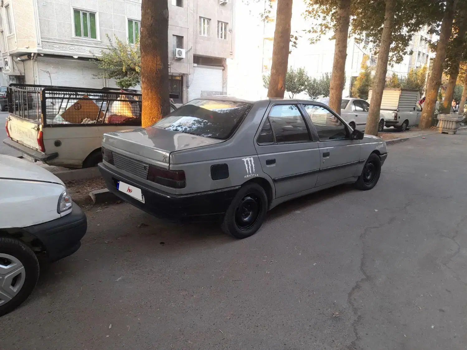 پژو آردی دوگانه سوز CNG - 1380