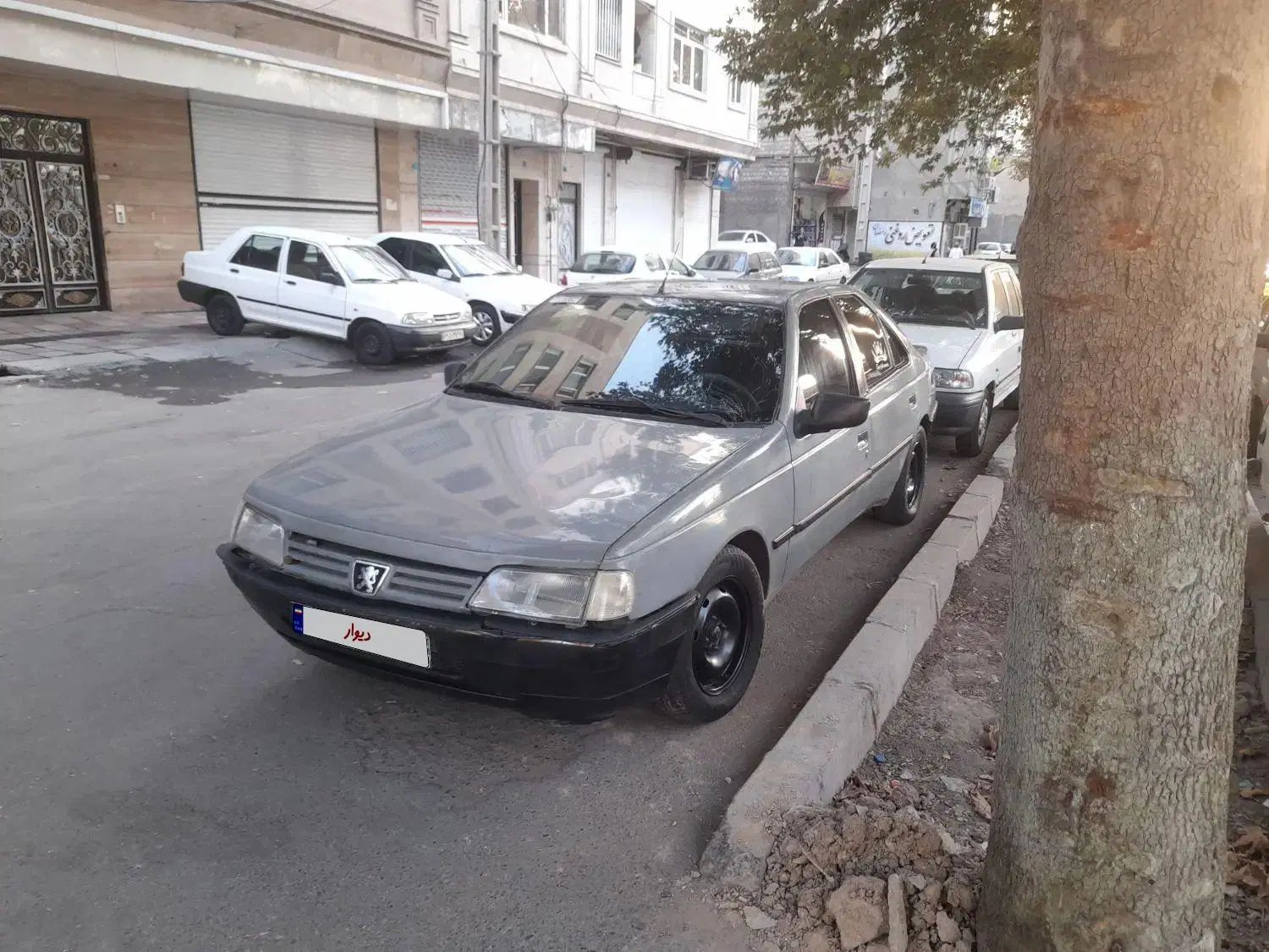 پژو آردی دوگانه سوز CNG - 1380