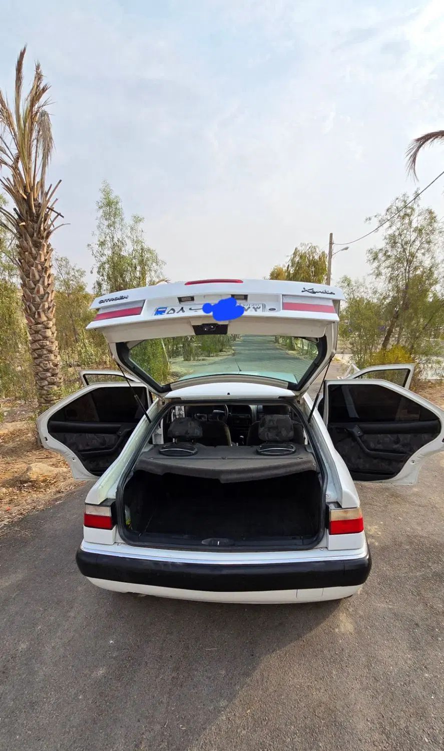 سیتروئن زانتیا SX - 1388