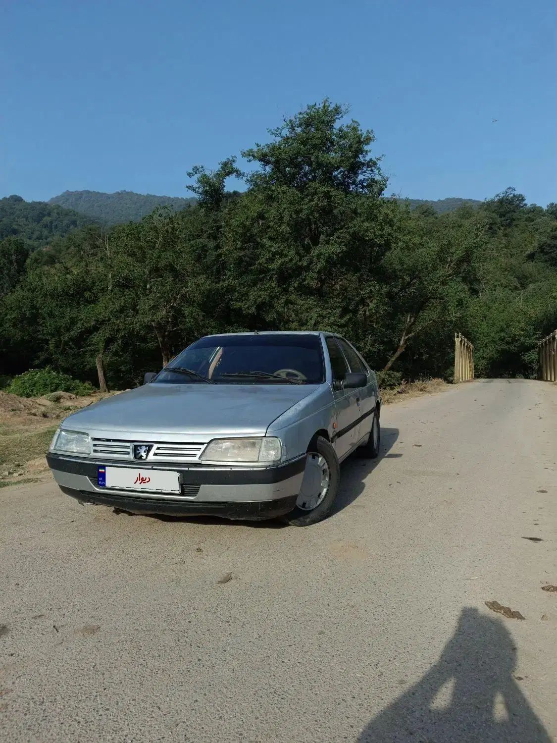پژو 405 GLX - دوگانه سوز - 1389