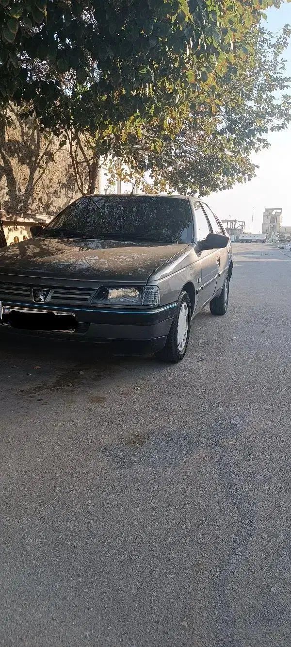 خودرو پژو، 405 آگهی ann_20238082