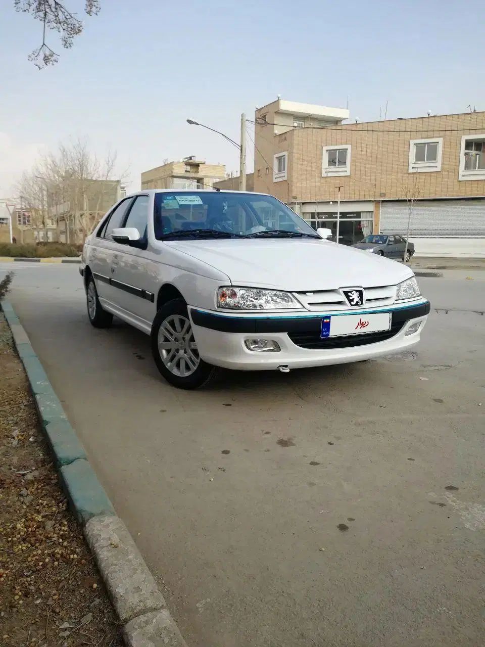 پژو پارس ELX-XU7P سفارشی - 1401