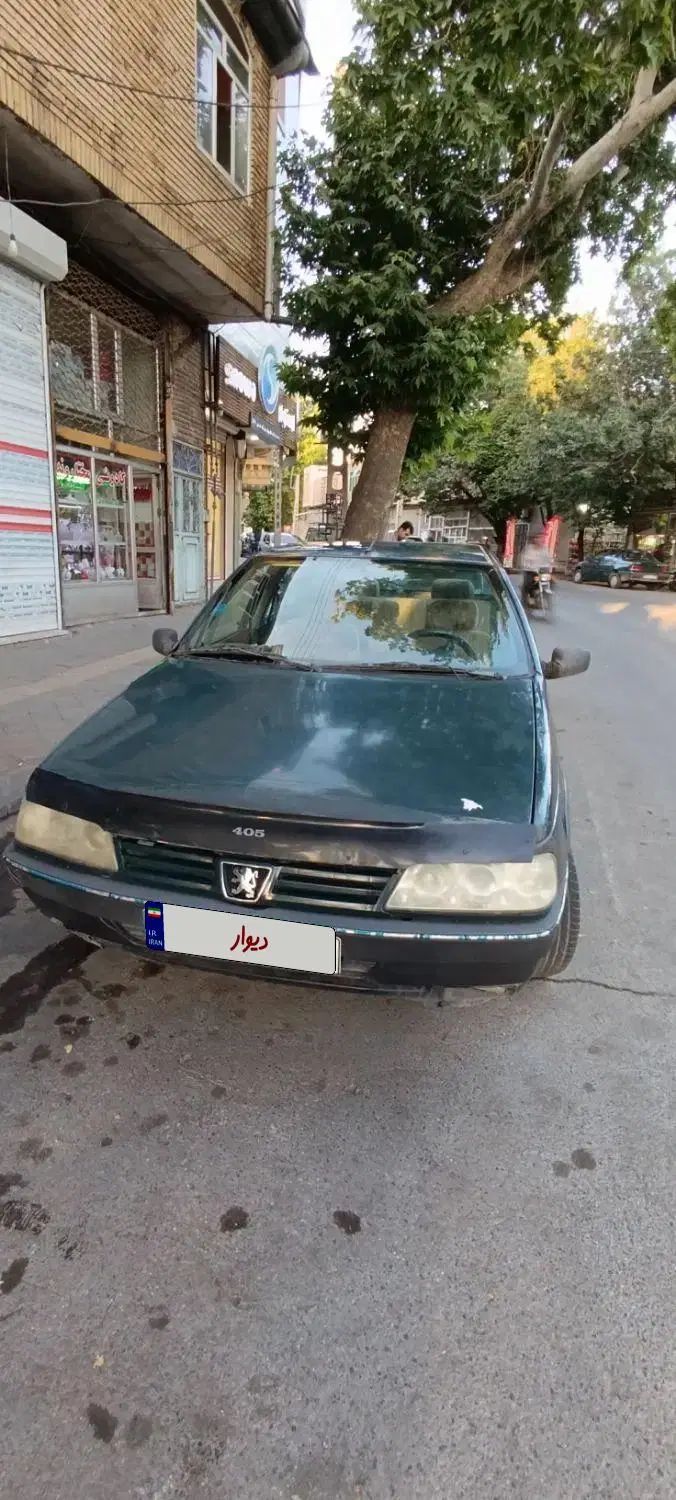 پژو آردی دوگانه سوز CNG - 1384