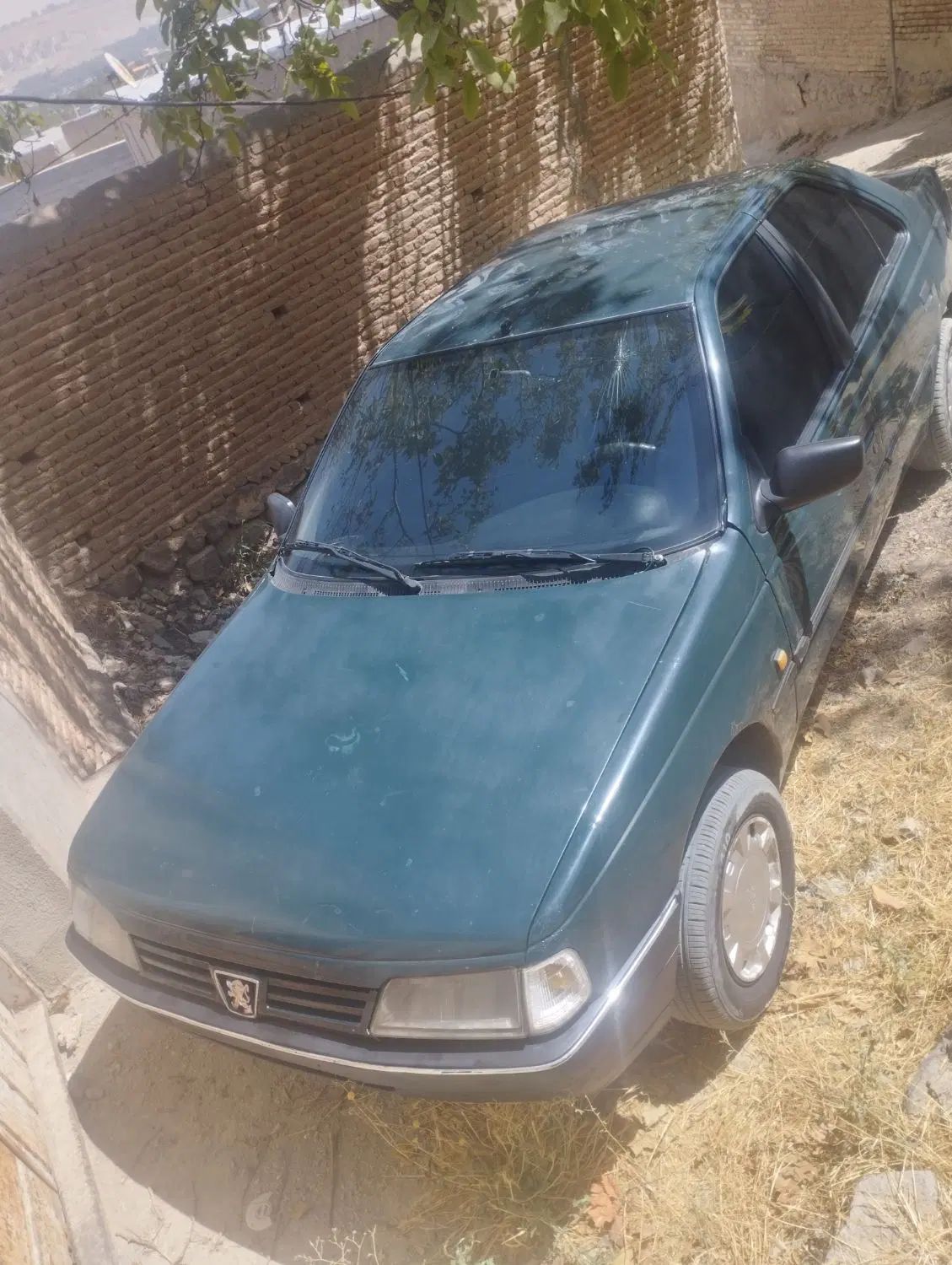 پژو آردی دوگانه سوز CNG - 1385