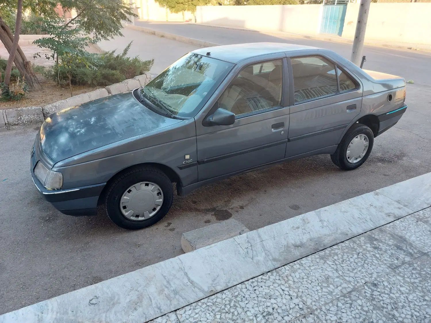پژو 405 GLX - دوگانه سوز - 1395