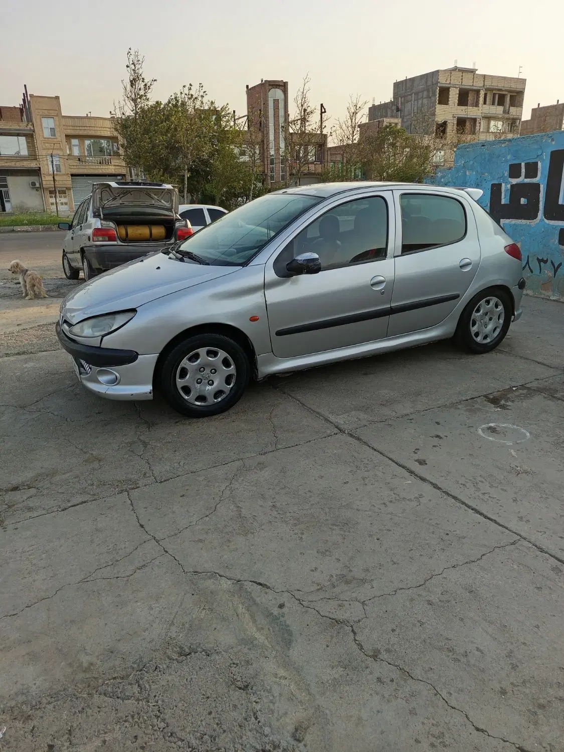 پژو 206 تیپ 2 - 1383