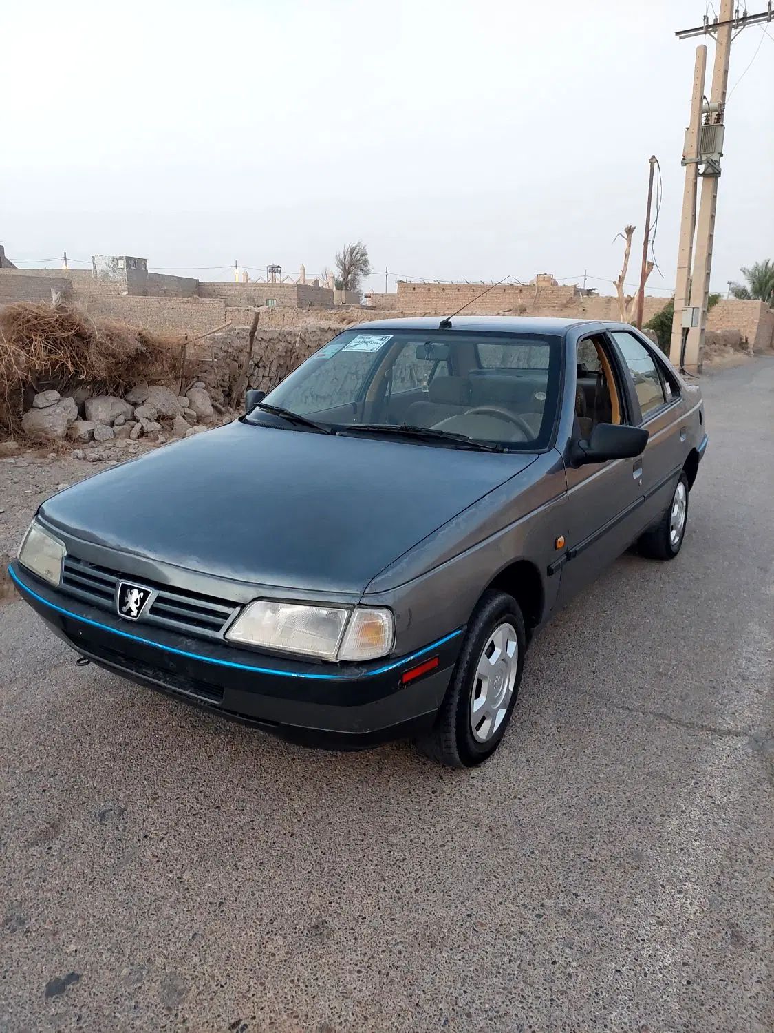 پژو 405 GLX - دوگانه سوز LPG - 1393