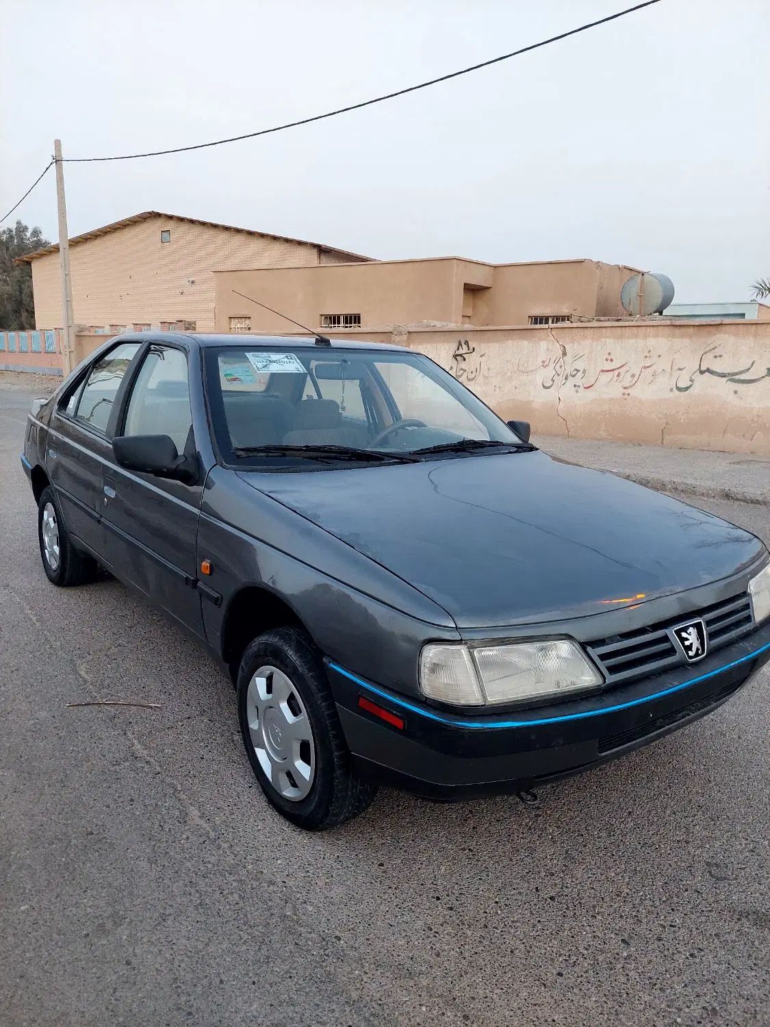 پژو 405 GLX - دوگانه سوز LPG - 1393