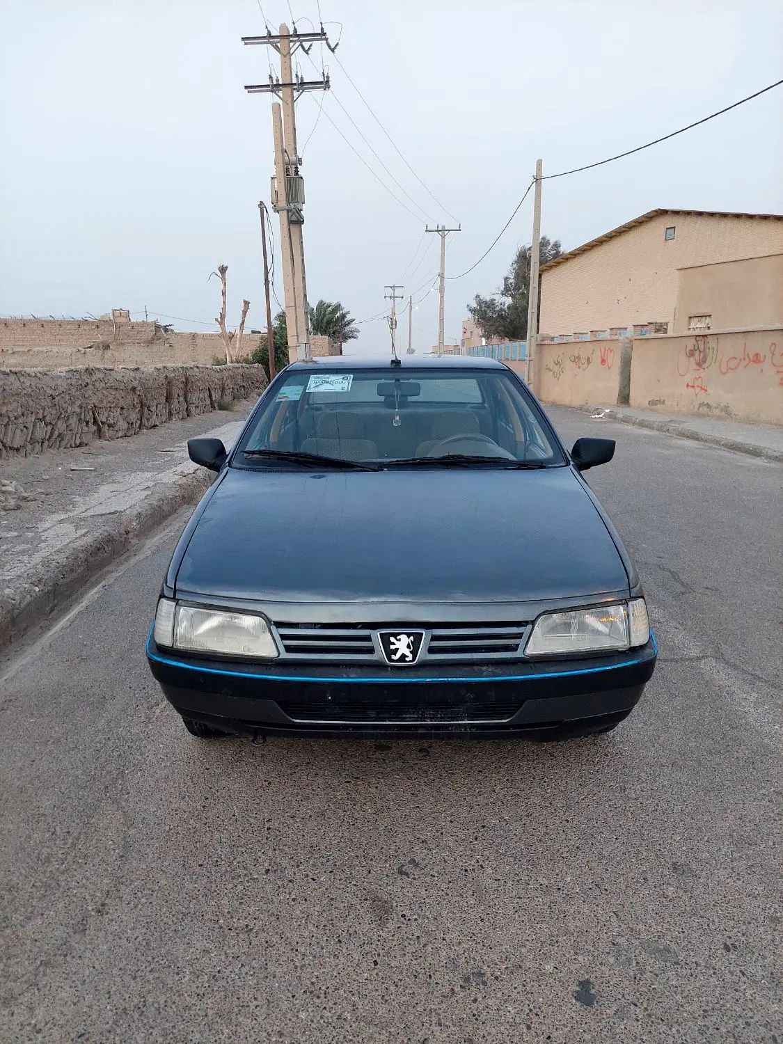 پژو 405 GLX - دوگانه سوز LPG - 1393