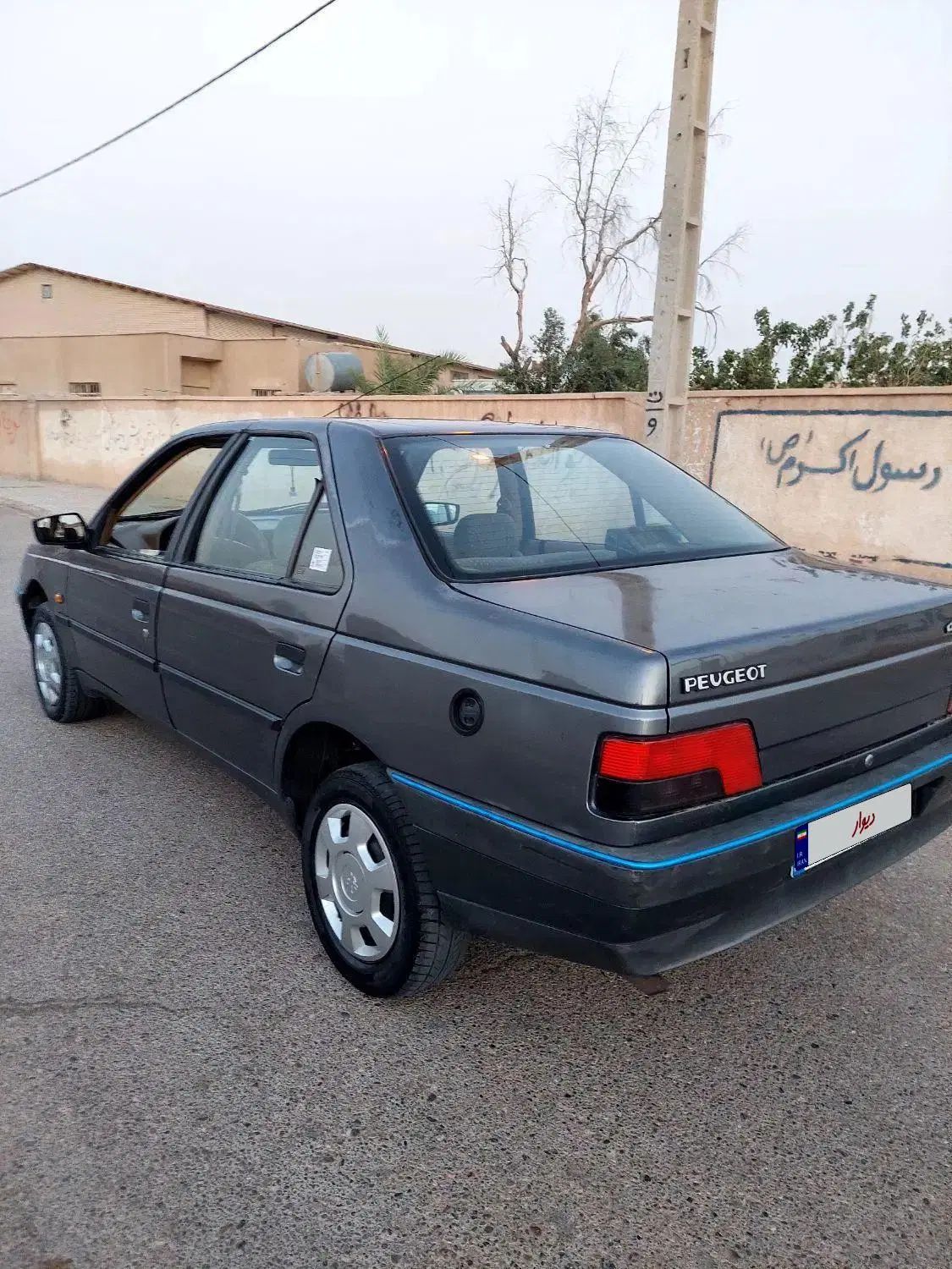 پژو 405 GLX - دوگانه سوز LPG - 1393