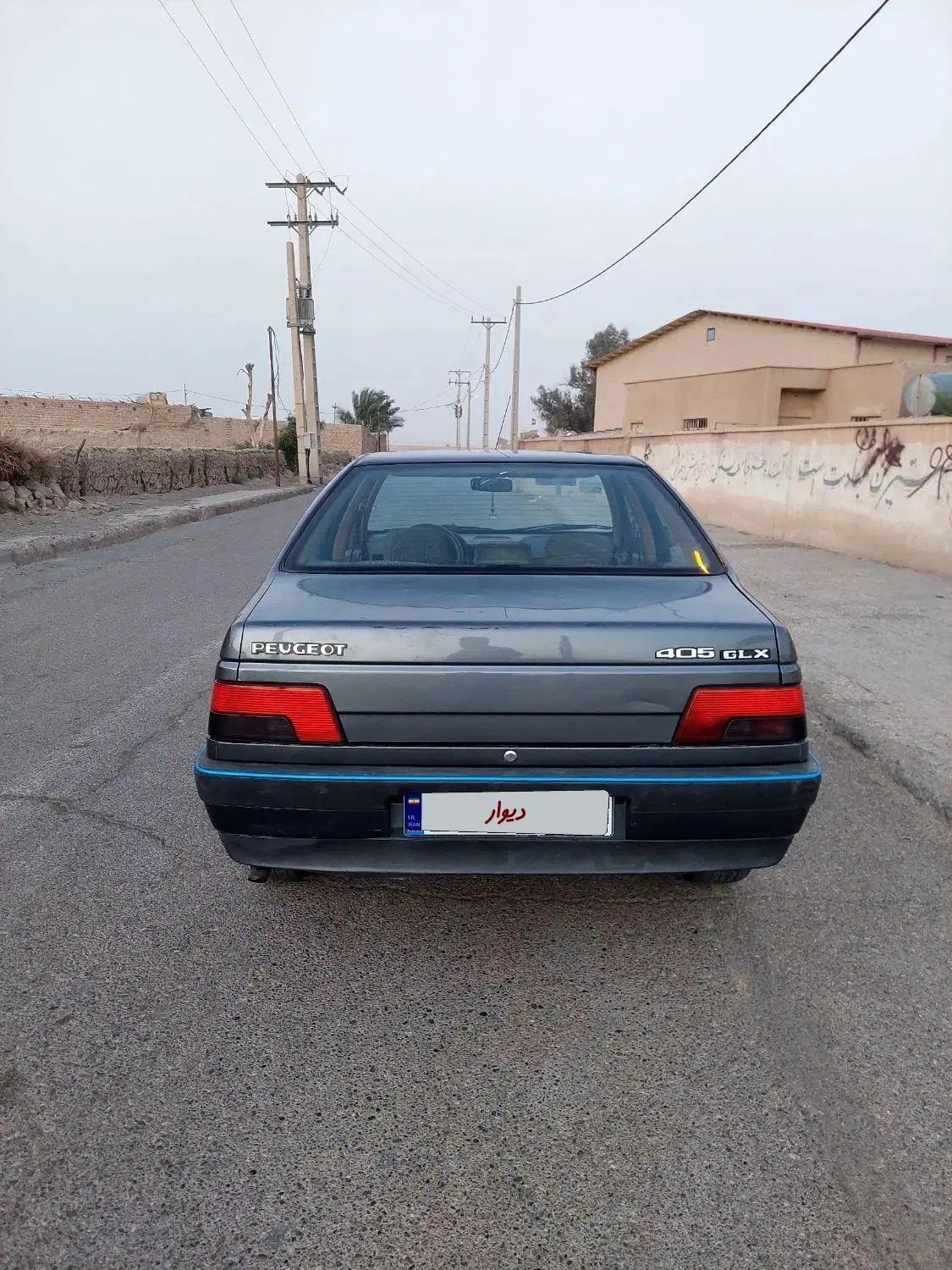 پژو 405 GLX - دوگانه سوز LPG - 1393