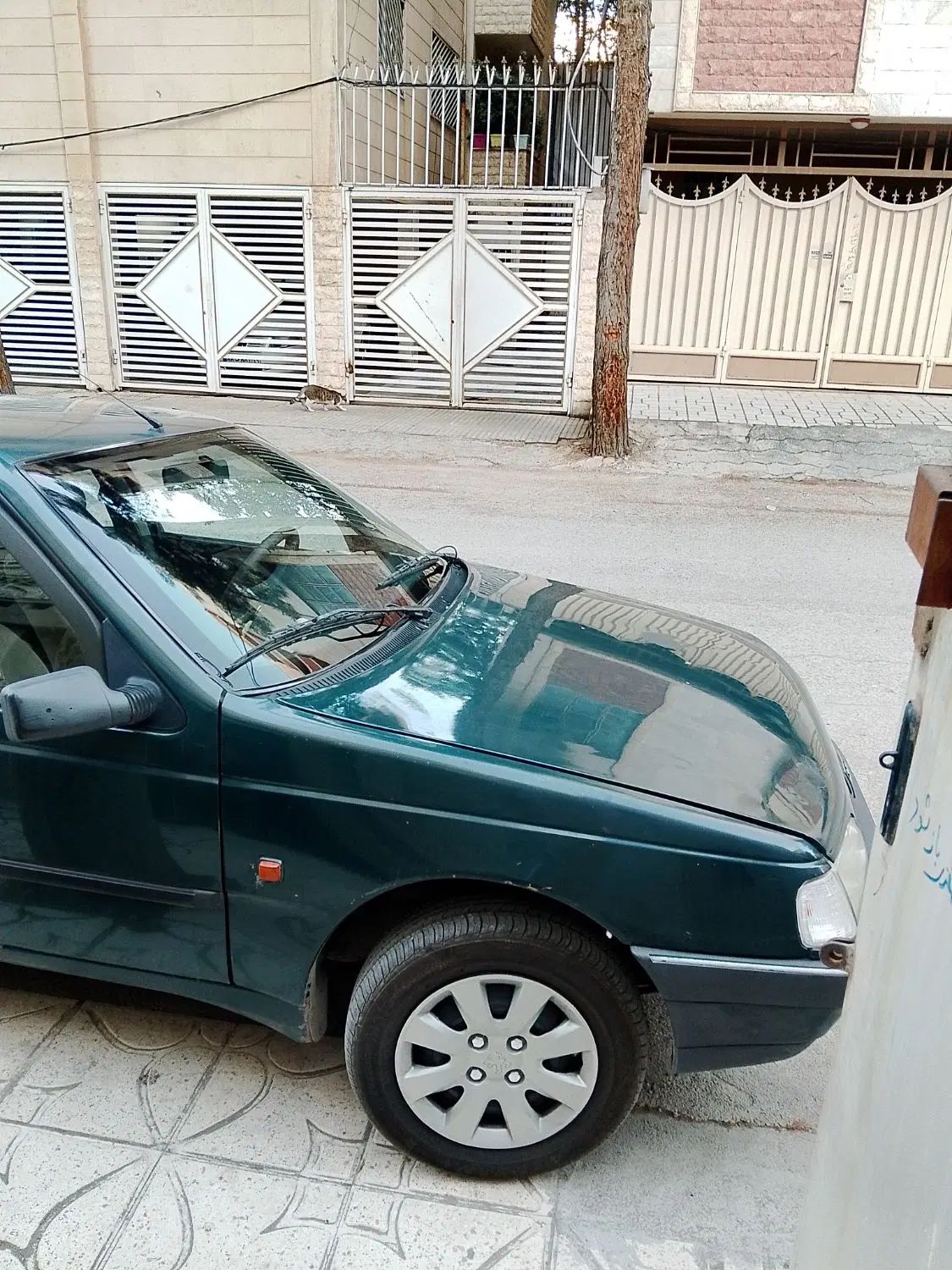 پژو آردی دوگانه سوز CNG - 1384