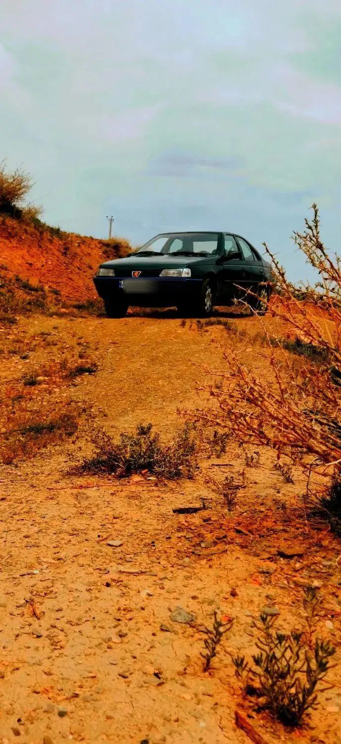 پژو 405 GLX - دوگانه سوز - 1380
