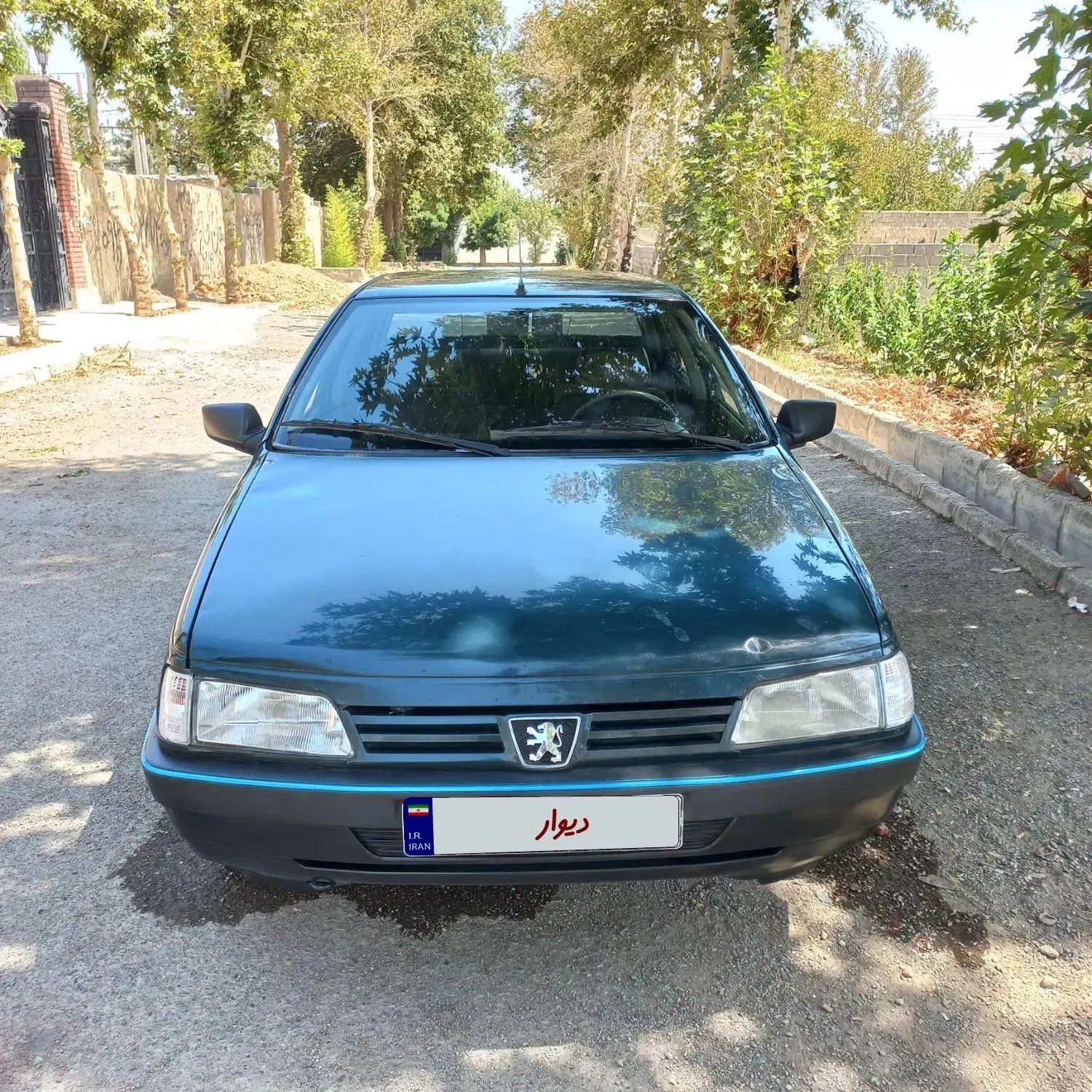پژو آردی دوگانه سوز LPG - 1384